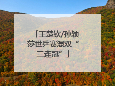 王楚钦/孙颖莎世乒赛混双“三连冠”
