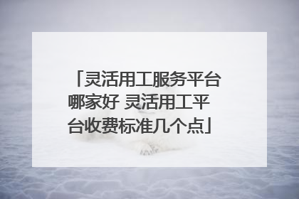 灵活用工服务平台哪家好 灵活用工平台收费标准几个点