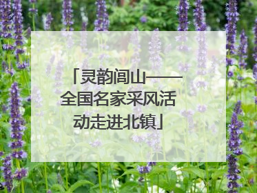 灵韵闾山——全国名家采风活动走进北镇