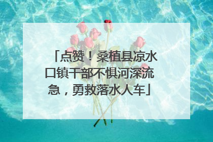 点赞！桑植县凉水口镇干部不惧河深流急，勇救落水人车