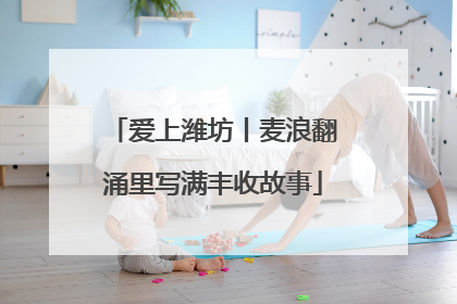 爱上潍坊丨麦浪翻涌里写满丰收故事