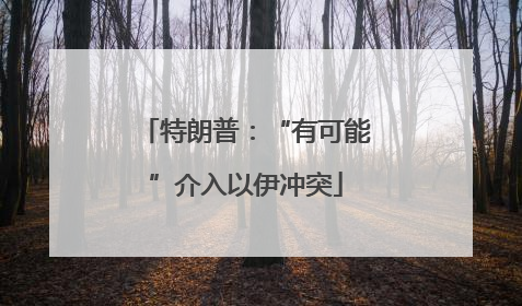 特朗普：“有可能”介入以伊冲突