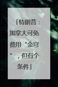 特朗普：加拿大可免费用“金穹”，但有个条件