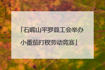 石嘴山平罗县工会举办小番茄打杈劳动竞赛