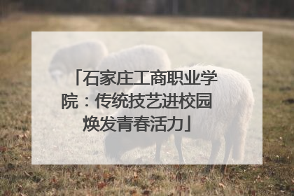 石家庄工商职业学院：传统技艺进校园焕发青春活力