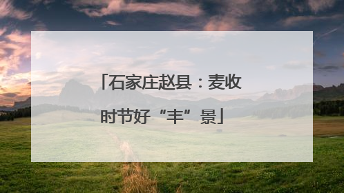 石家庄赵县：麦收时节好“丰”景