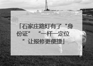石家庄路灯有了“身份证” “一杆一定位”让报修更便捷