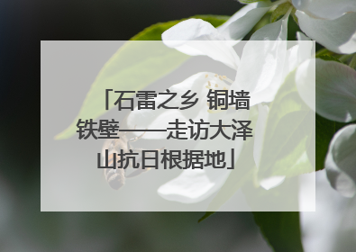 石雷之乡 铜墙铁壁——走访大泽山抗日根据地