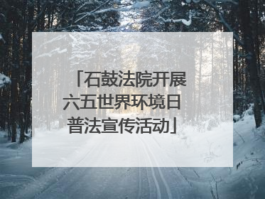 石鼓法院开展六五世界环境日普法宣传活动