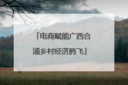 电商赋能广西合浦乡村经济腾飞