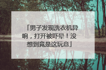 男子发现洗衣机异响，打开被吓晕！没想到竟是这玩意