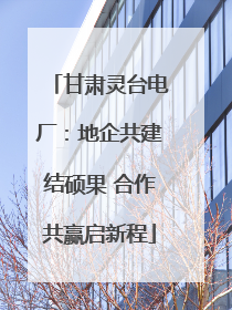 甘肃灵台电厂：地企共建结硕果 合作共赢启新程