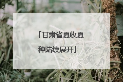 甘肃省夏收夏种陆续展开