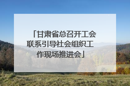 甘肃省总召开工会联系引导社会组织工作现场推进会
