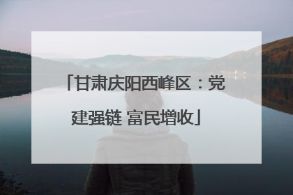 甘肃庆阳西峰区：党建强链 富民增收