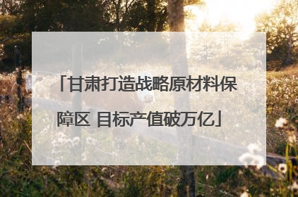 甘肃打造战略原材料保障区 目标产值破万亿
