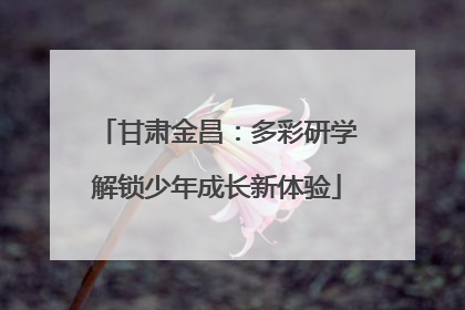 甘肃金昌：多彩研学解锁少年成长新体验