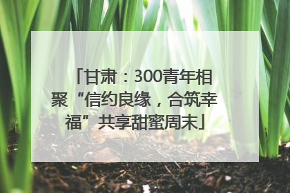 甘肃：300青年相聚“信约良缘，合筑幸福”共享甜蜜周末