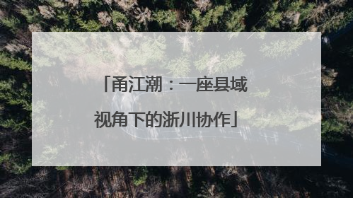 甬江潮：一座县域视角下的浙川协作