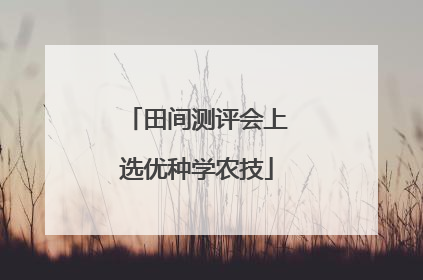 田间测评会上选优种学农技