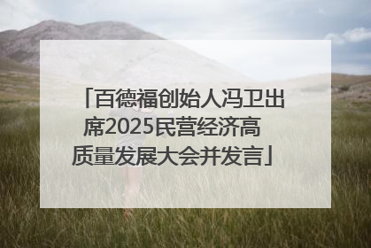 百德福创始人冯卫出席2025民营经济高质量发展大会并发言