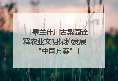 皋兰什川古梨园诠释农业文明保护发展“中国方案”