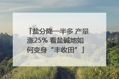 盐分降一半多 产量涨25% 看盐碱地如何变身“丰收田”