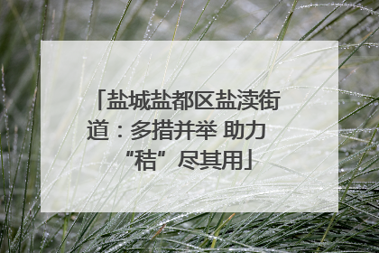 盐城盐都区盐渎街道：多措并举 助力“秸”尽其用