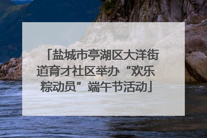 盐城市亭湖区大洋街道育才社区举办“欢乐粽动员”端午节活动