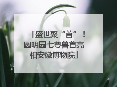 盛世聚“首”！圆明园七尊兽首亮相安徽博物院