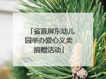 省直屏东幼儿园举办爱心义卖捐赠活动