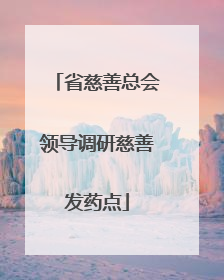 省慈善总会领导调研慈善发药点