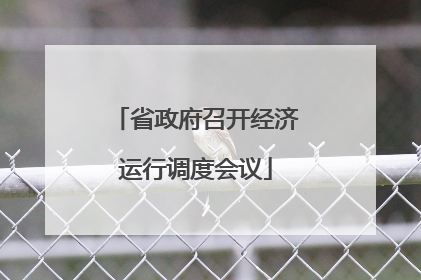 省政府召开经济运行调度会议
