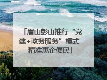 眉山彭山推行“党建+政务服务”模式 精准惠企便民