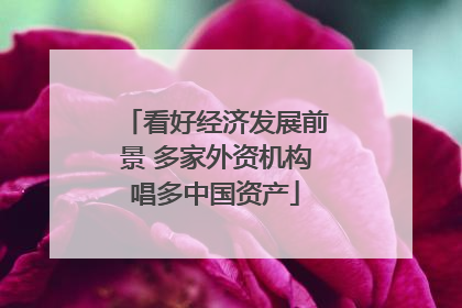 看好经济发展前景 多家外资机构唱多中国资产