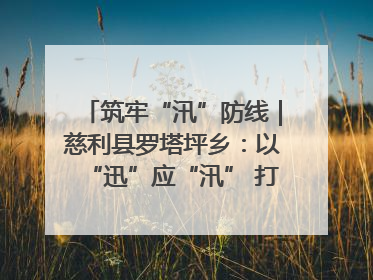 筑牢“汛”防线｜慈利县罗塔坪乡：以“迅”应“汛” 打赢暴雨防御战