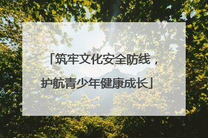 筑牢文化安全防线，护航青少年健康成长
