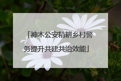 神木公安精耕乡村警务提升共建共治效能