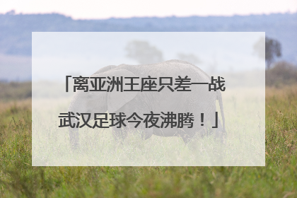离亚洲王座只差一战 武汉足球今夜沸腾！