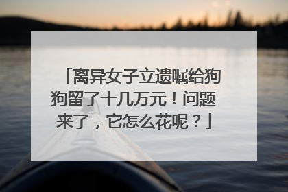 离异女子立遗嘱给狗狗留了十几万元！问题来了，它怎么花呢？