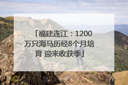 福建连江：1200万只海马历经8个月培育 迎来收获季