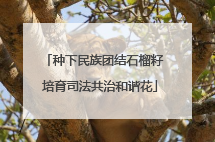 种下民族团结石榴籽 培育司法共治和谐花