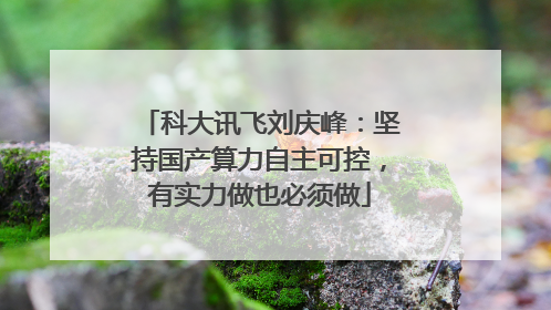 科大讯飞刘庆峰：坚持国产算力自主可控，有实力做也必须做