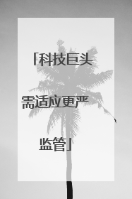 科技巨头需适应更严监管