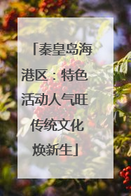 秦皇岛海港区：特色活动人气旺 传统文化焕新生