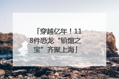 穿越亿年！118件恐龙“镇馆之宝”齐聚上海