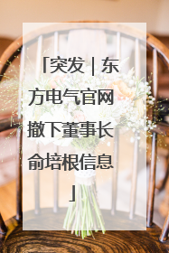 突发｜东方电气官网撤下董事长俞培根信息