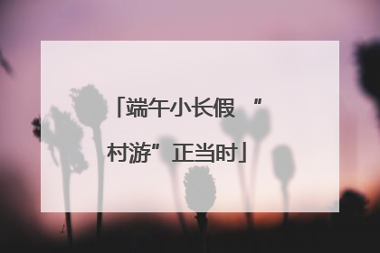 端午小长假 “村游”正当时