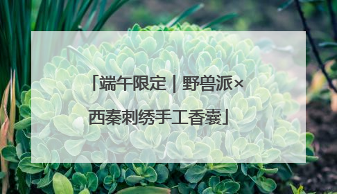 端午限定｜野兽派×西秦刺绣手工香囊