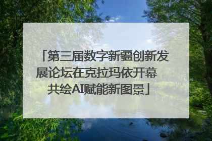 第三届数字新疆创新发展论坛在克拉玛依开幕 共绘AI赋能新图景